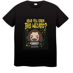 Have You Seen This Wizard(Harry Potter)